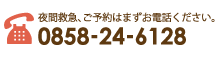 電話：0858-24-6128。夜間救急、ご予約はまずお電話ください。